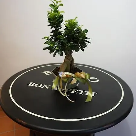 Saila Monolocale Venere Apartamento *