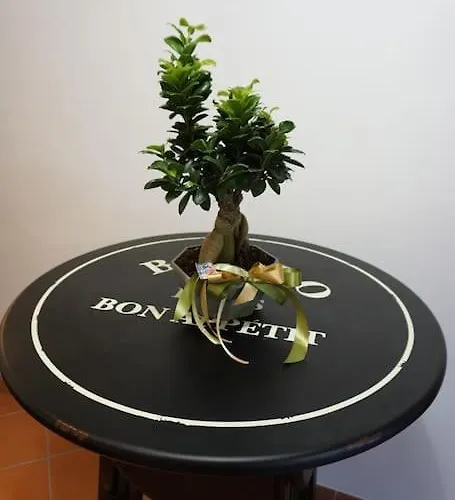 Saila Monolocale Venere Apartamento *